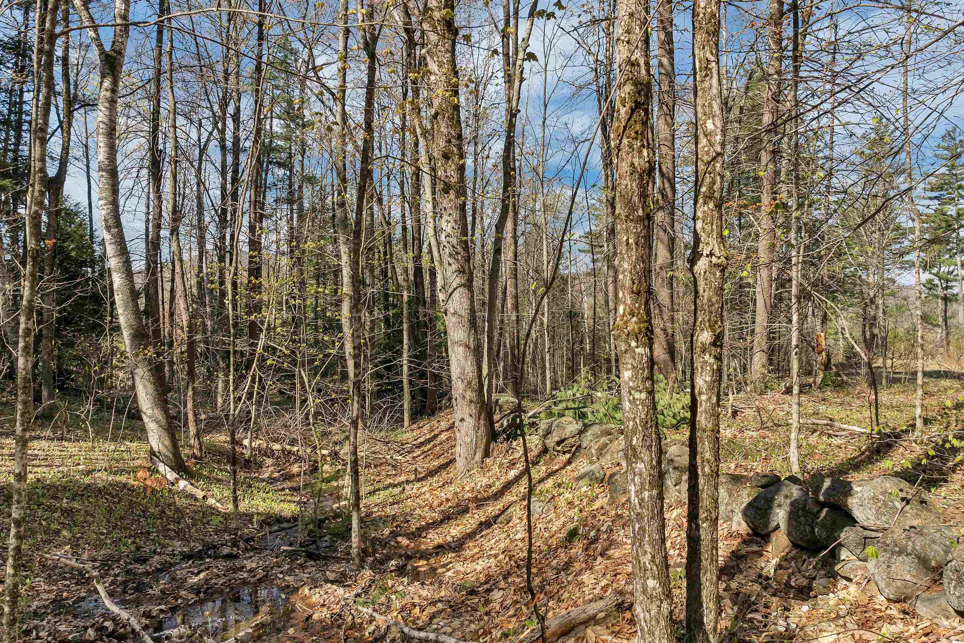 00 Pinnacle Ridge Road