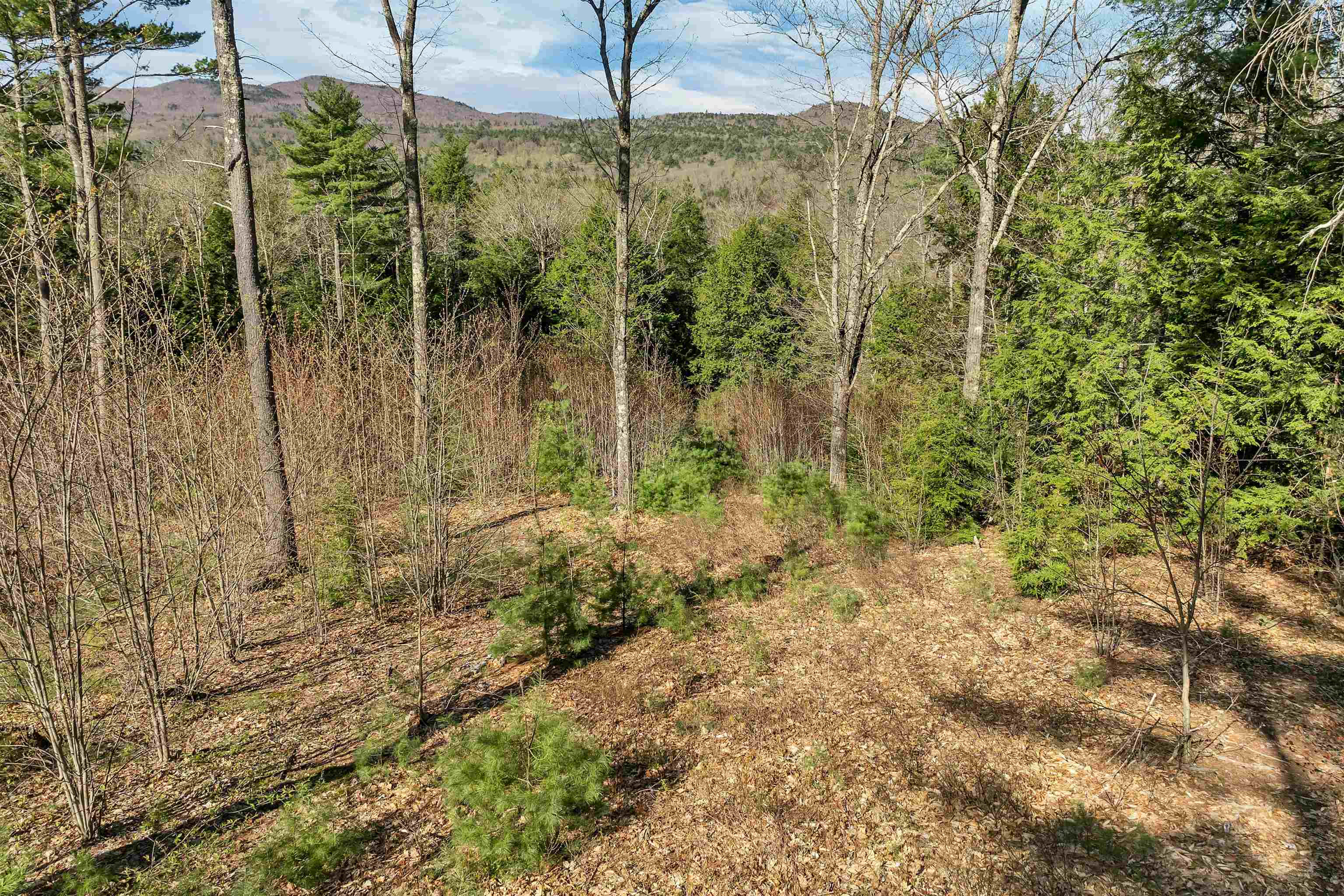 00 Pinnacle Ridge Road