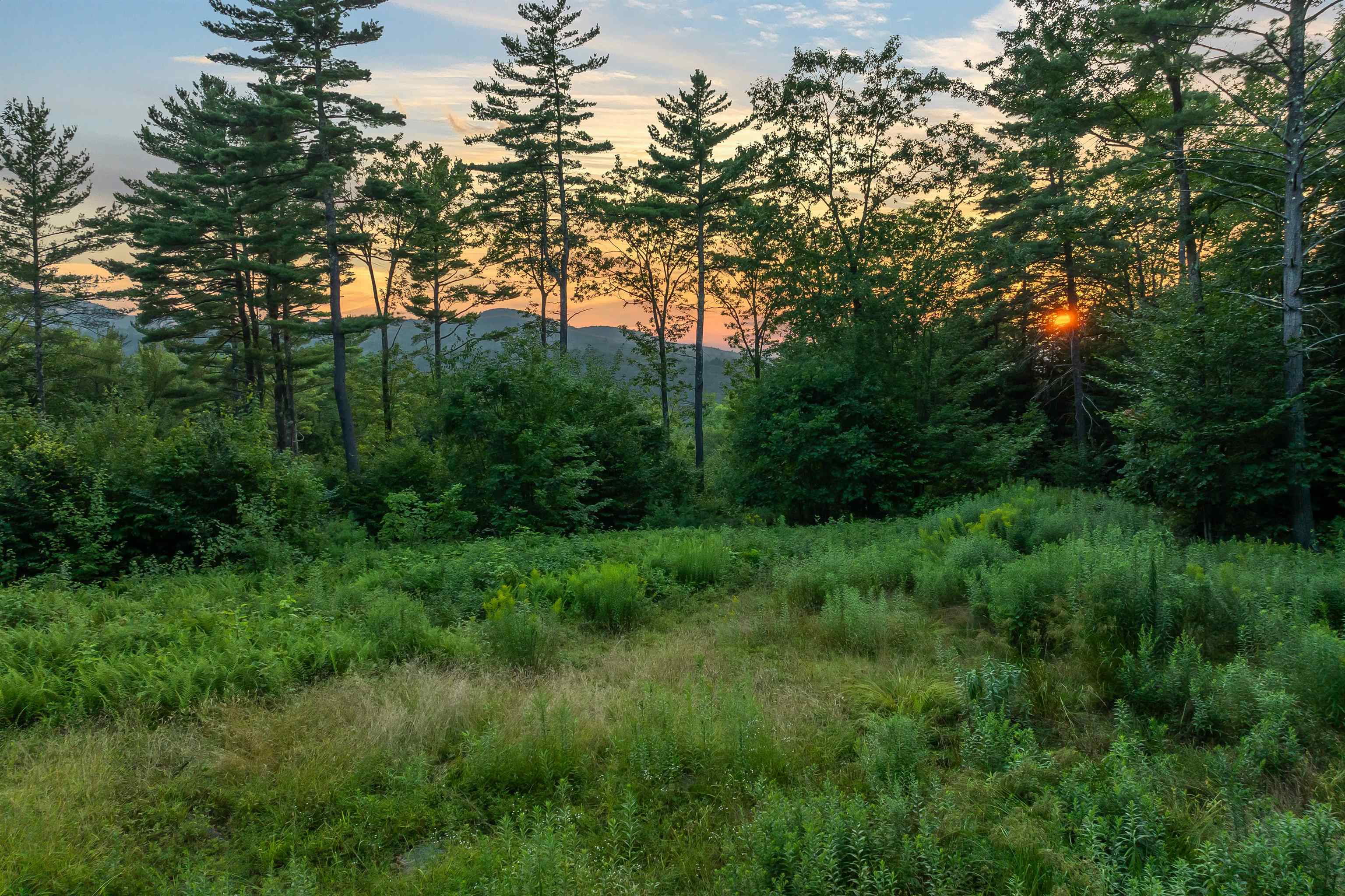 00 Pinnacle Ridge Road