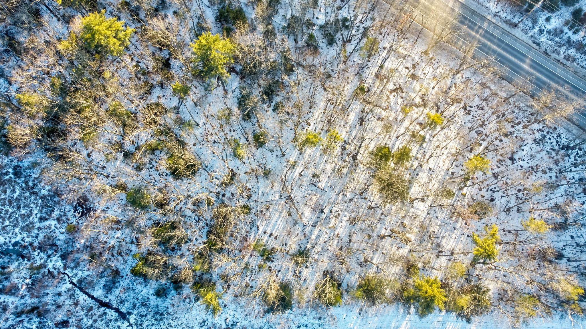 00 Moultoboro Neck Road