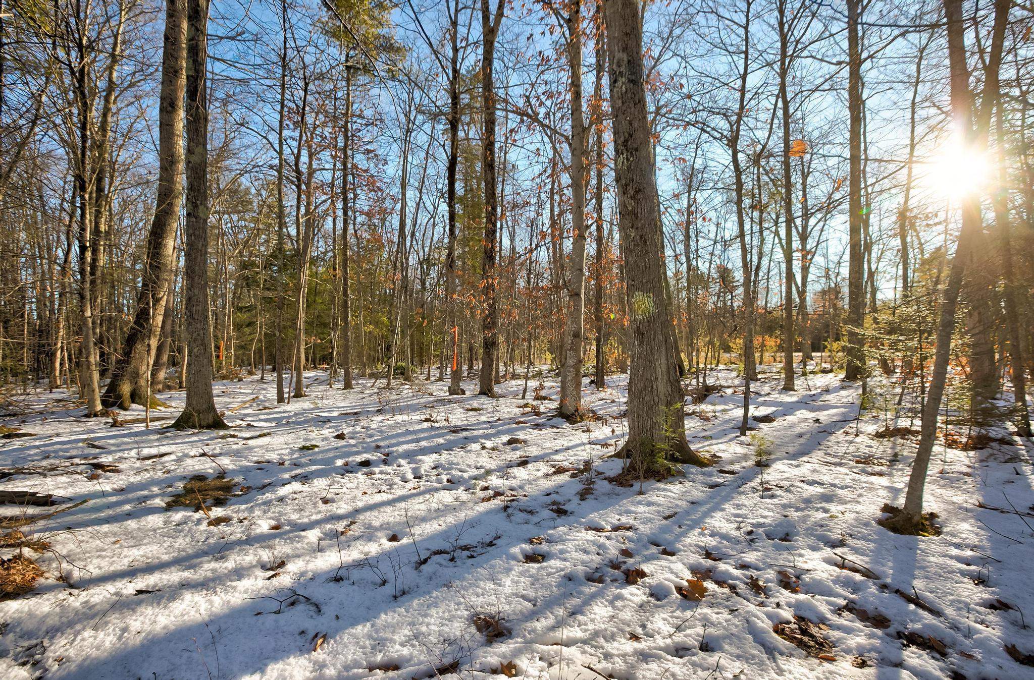 00 Moultoboro Neck Road