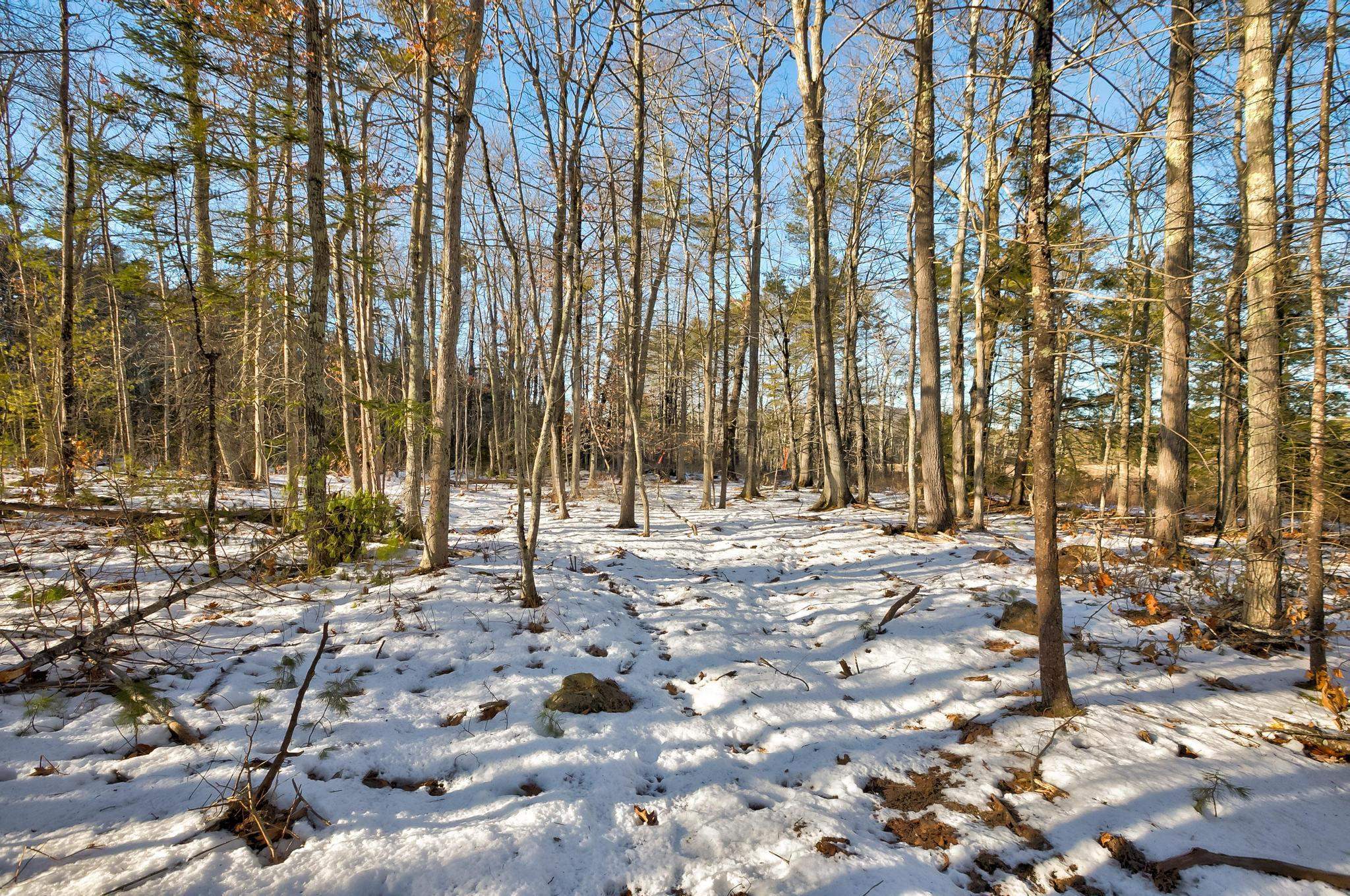 00 Moultoboro Neck Road