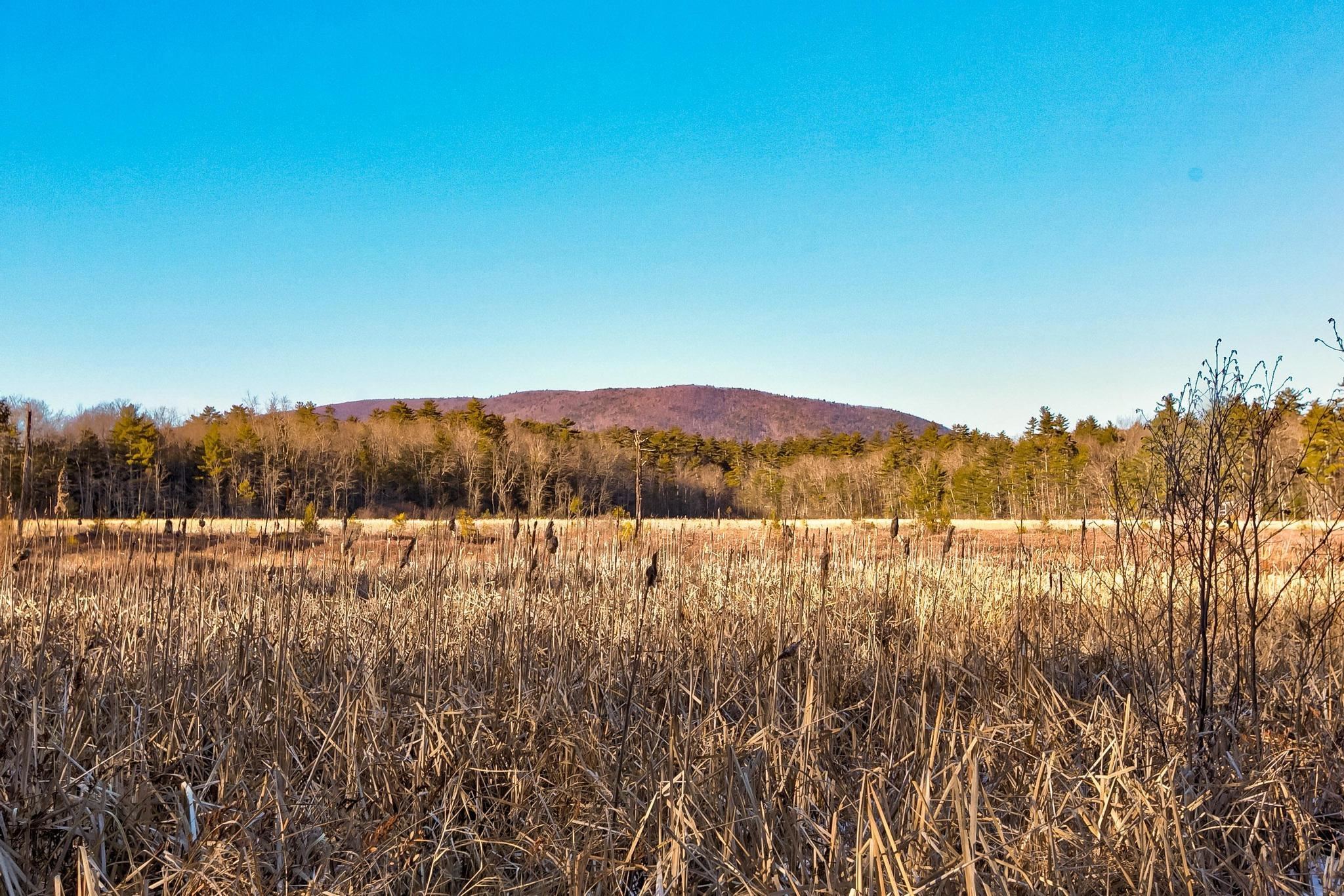 00 Moultoboro Neck Road