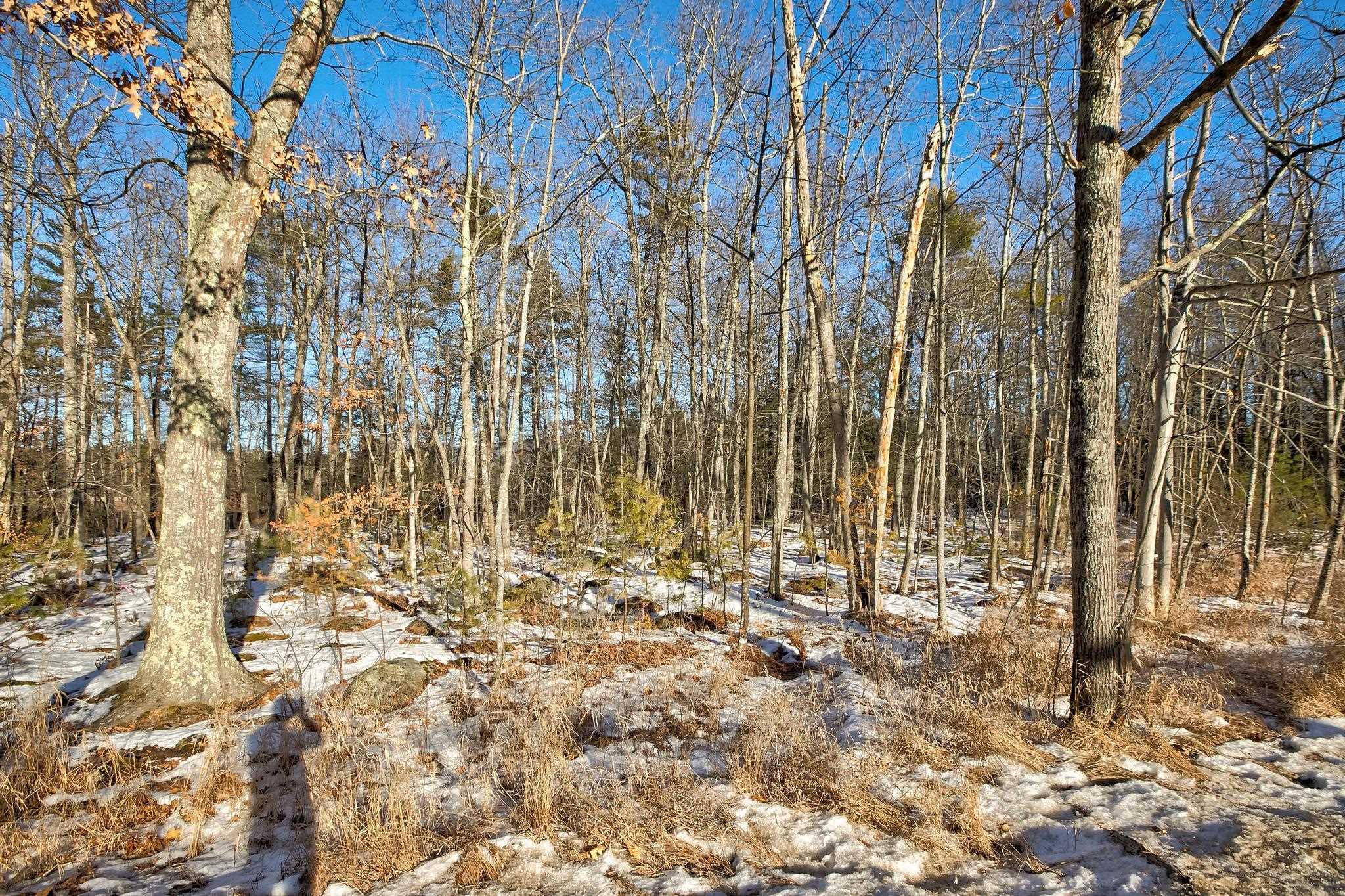 00 Moultoboro Neck Road