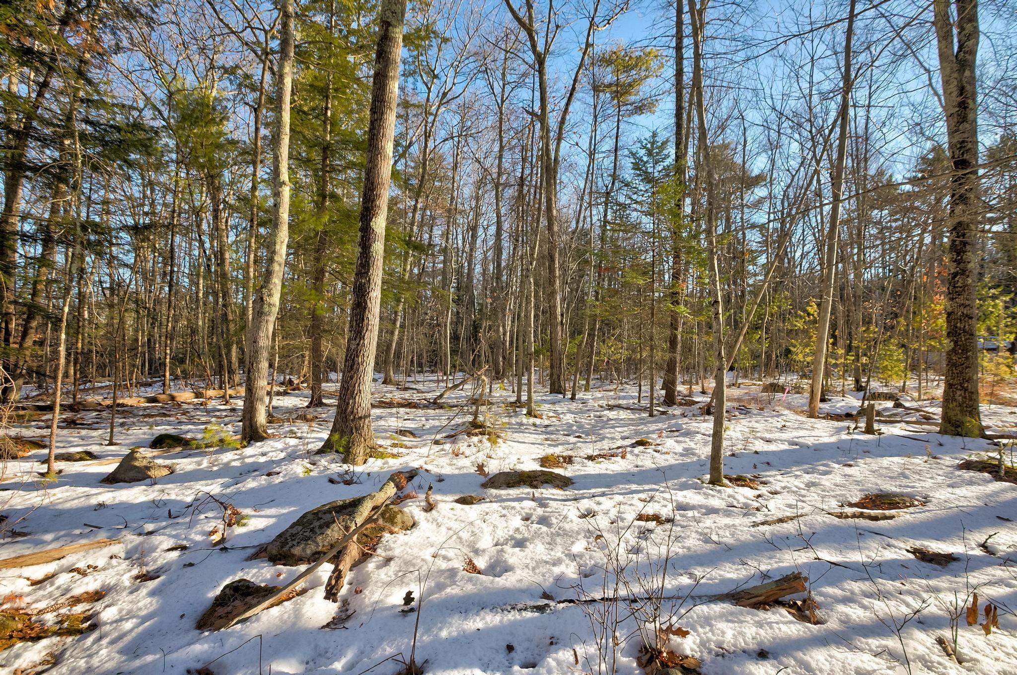 00 Moultoboro Neck Road