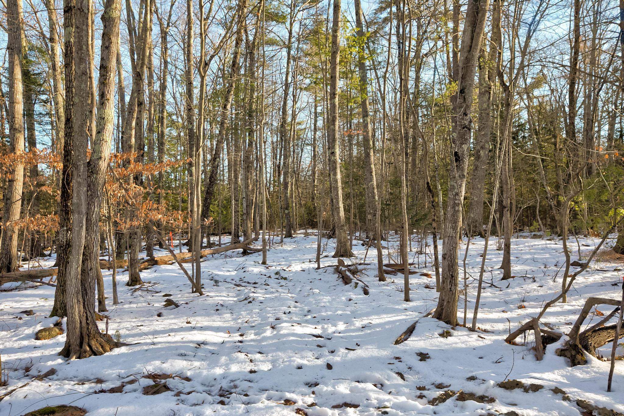 00 Moultoboro Neck Road