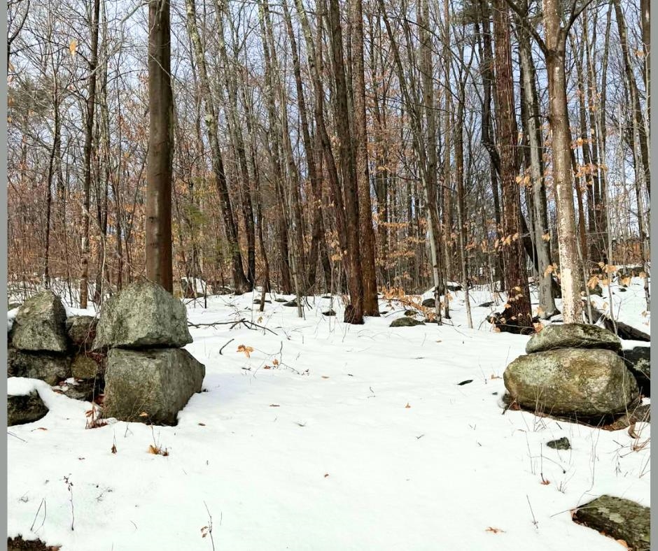 00 Water Street Unit: U05/64/B