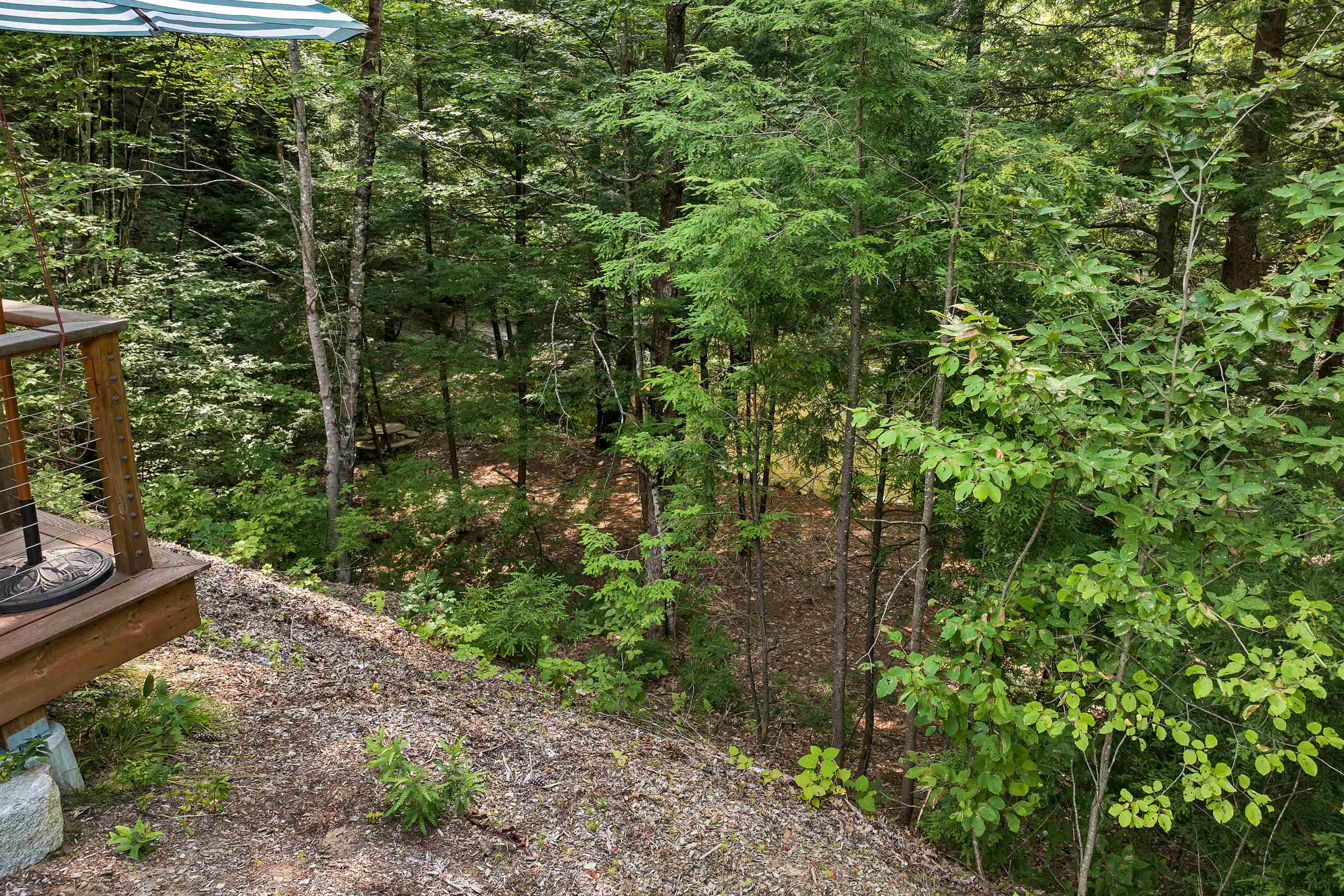 479 River Road