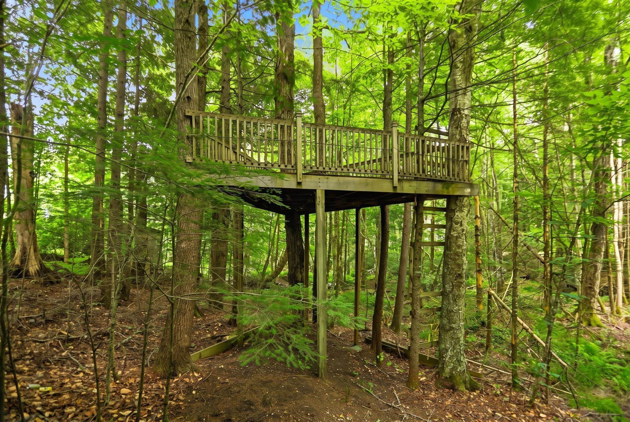 30 Hickory Lane