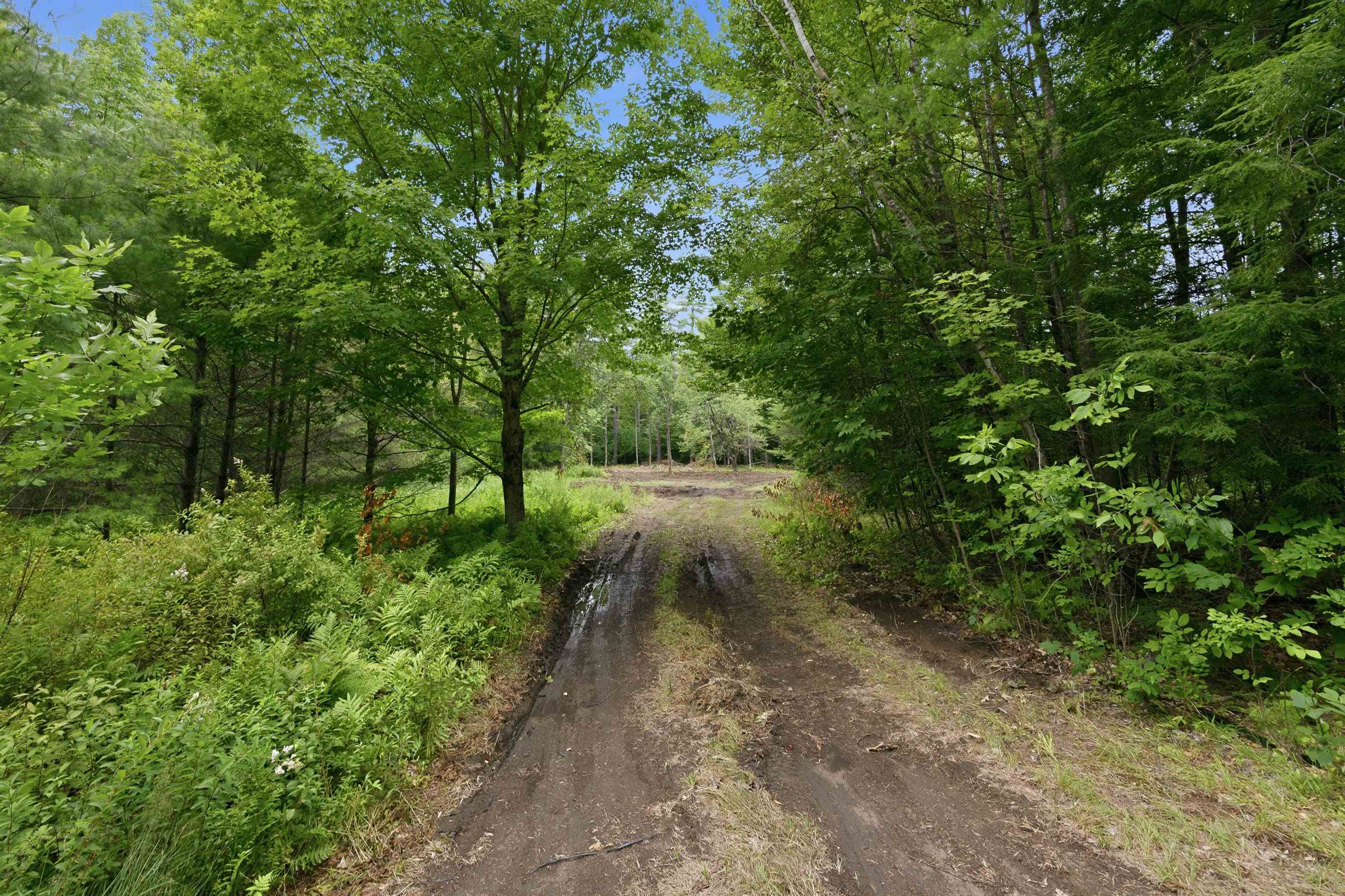 Lot 29 Dane Road