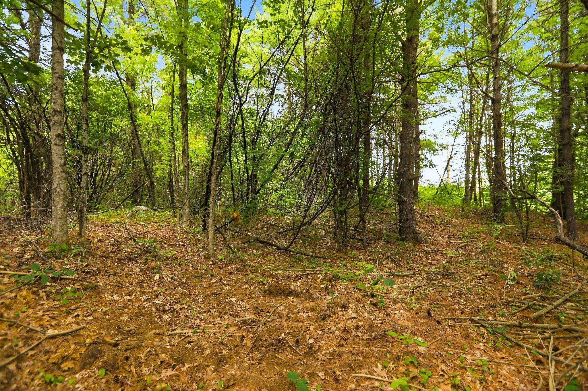 00 Dow Road