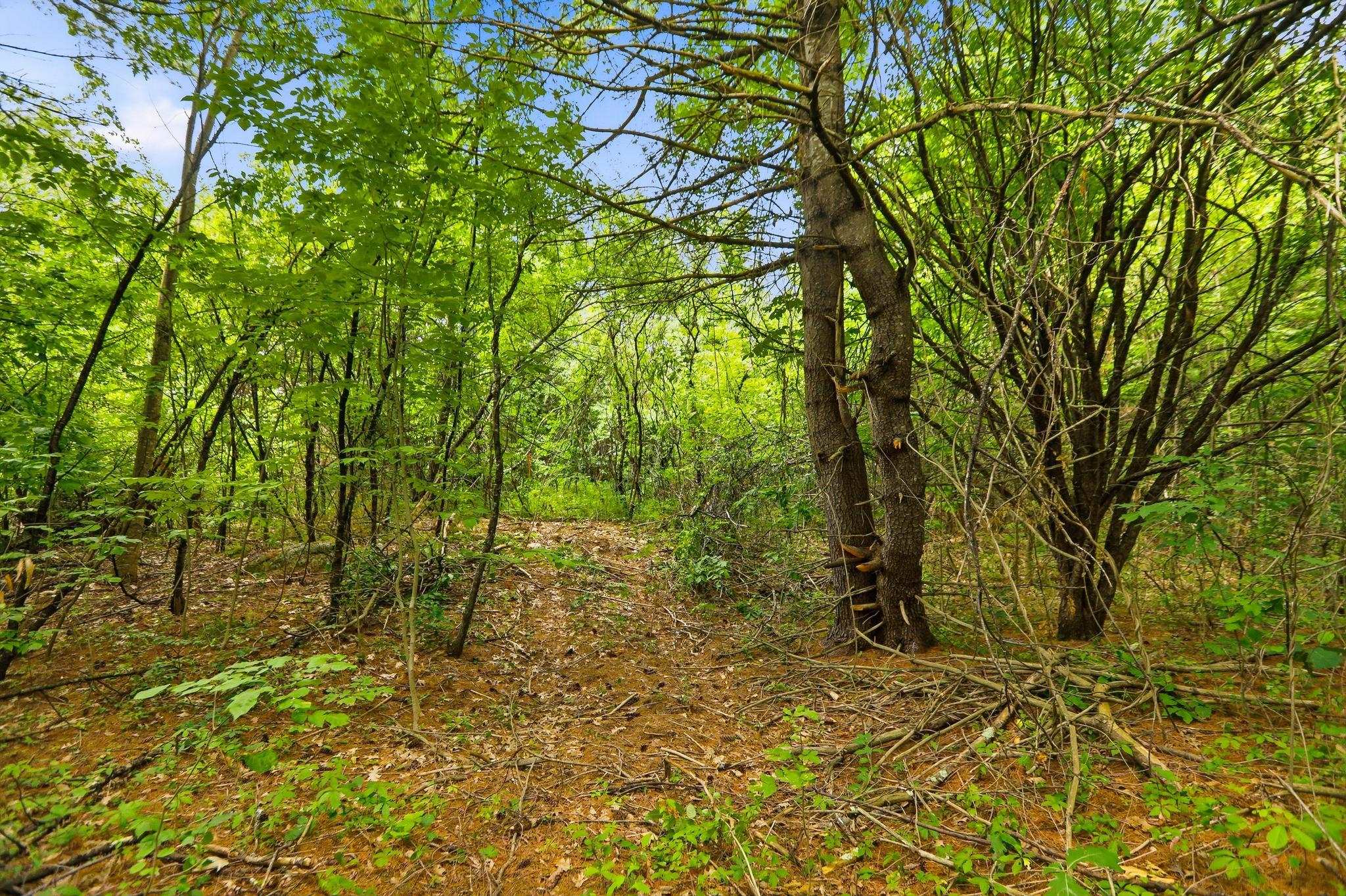 00 Dow Road