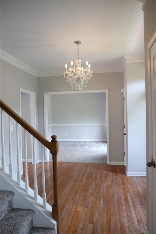 3151 Thornbush Court