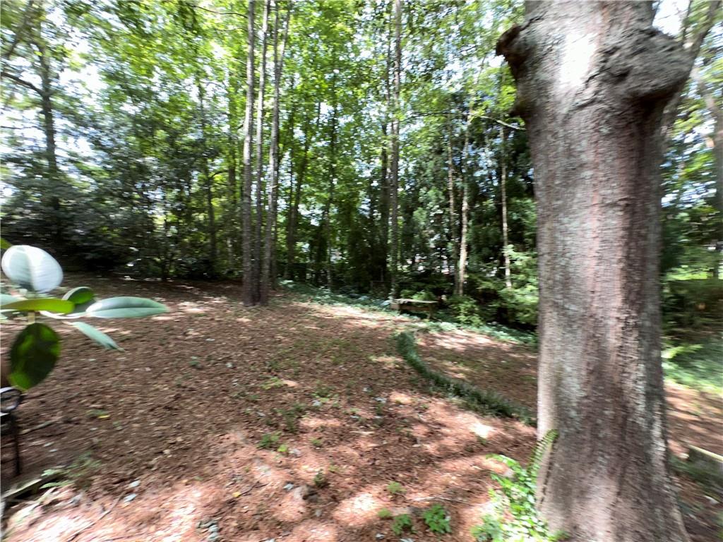 5012 Chestnut Forest Lane