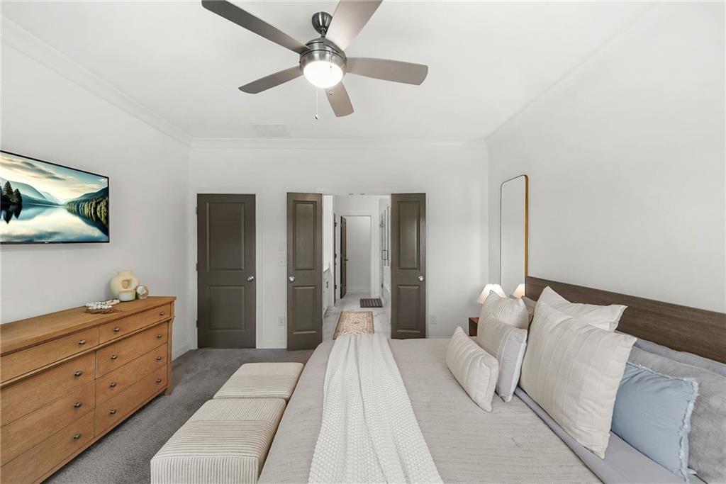 843 Angora Alley
