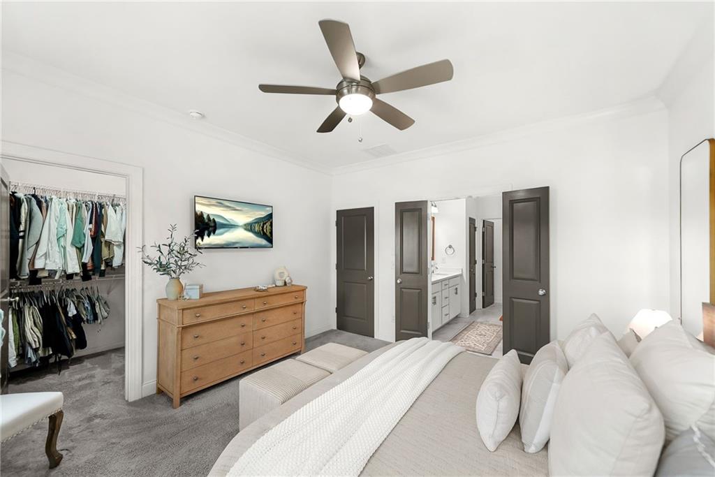 843 Angora Alley