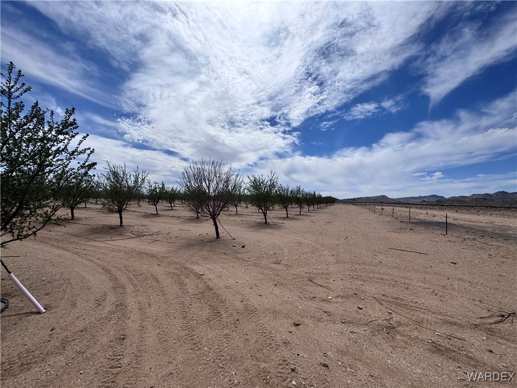 00 E Mountain Meadow