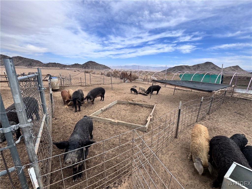 00 E Mountain Meadow