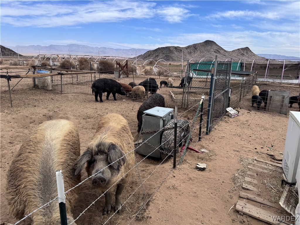 00 E Mountain Meadow