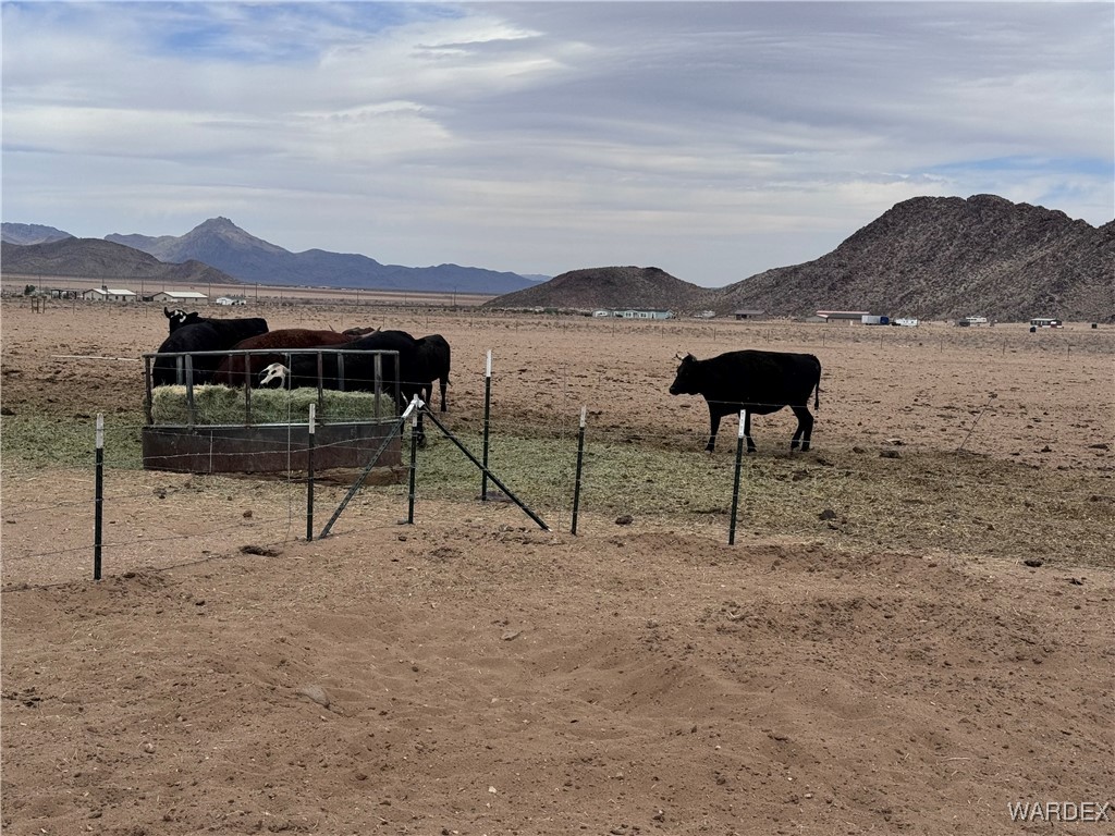 00 E Mountain Meadow