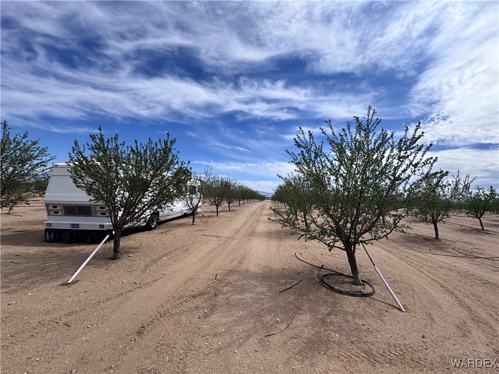 00 E Mountain Meadow