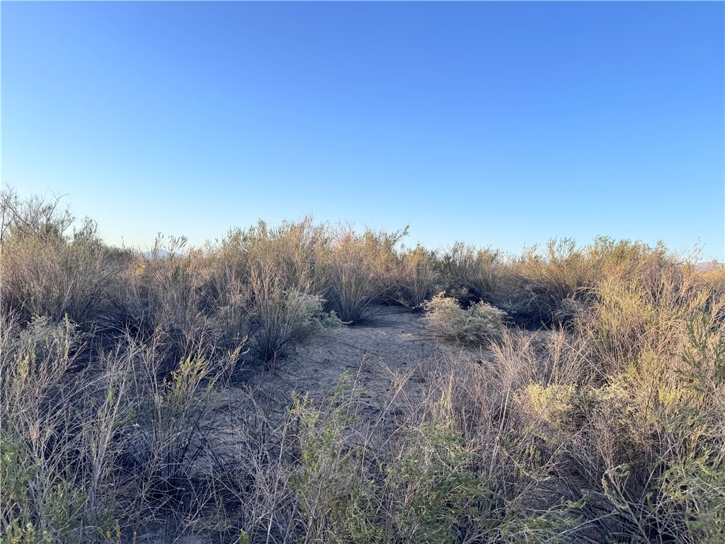 2891 Mesa Del Oro