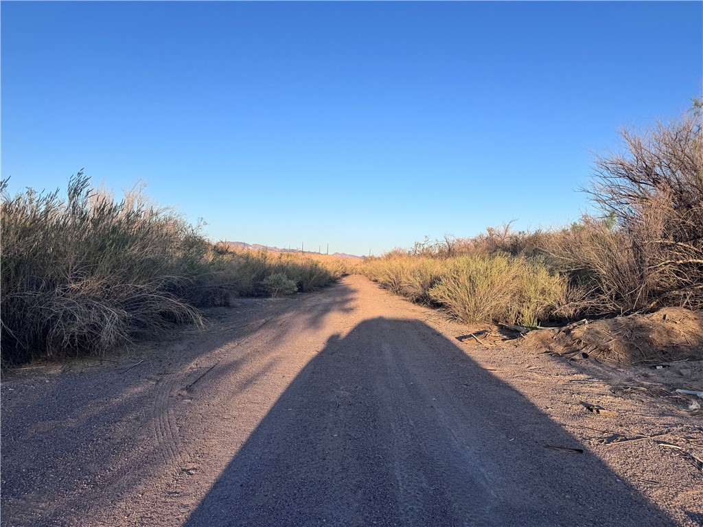 2891 Mesa Del Oro