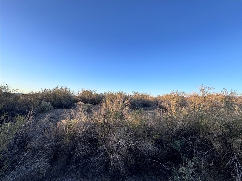 2891 Mesa Del Oro