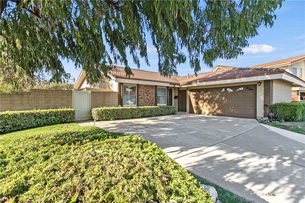 10911 La Carta Avenue