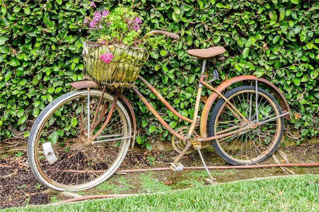 20152 Cape Cottage Lane