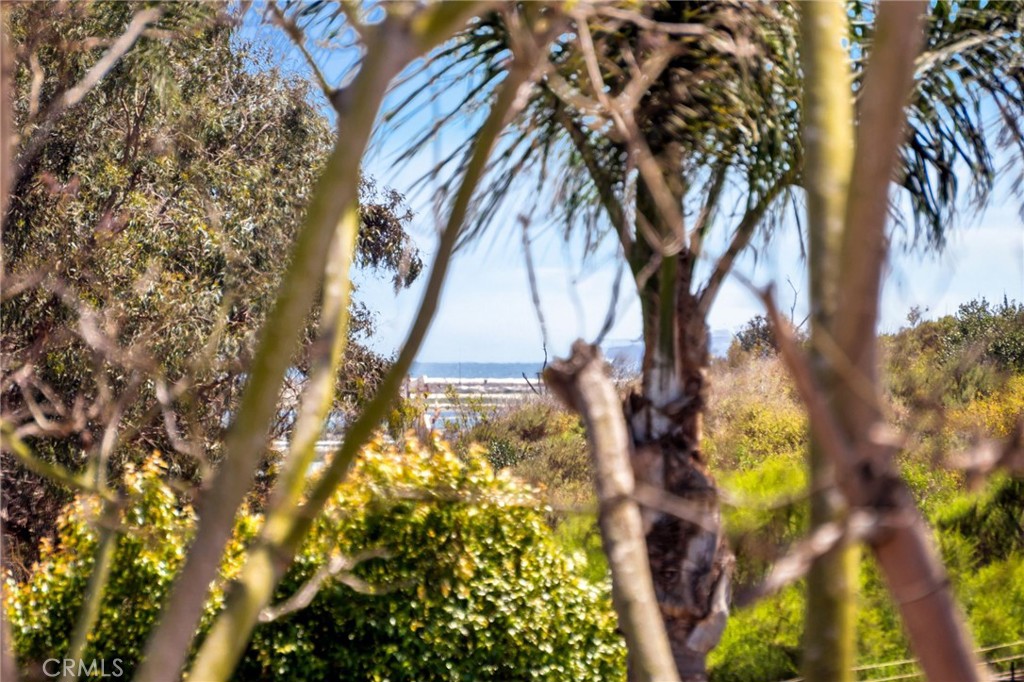 5145 Tortuga Drive 209