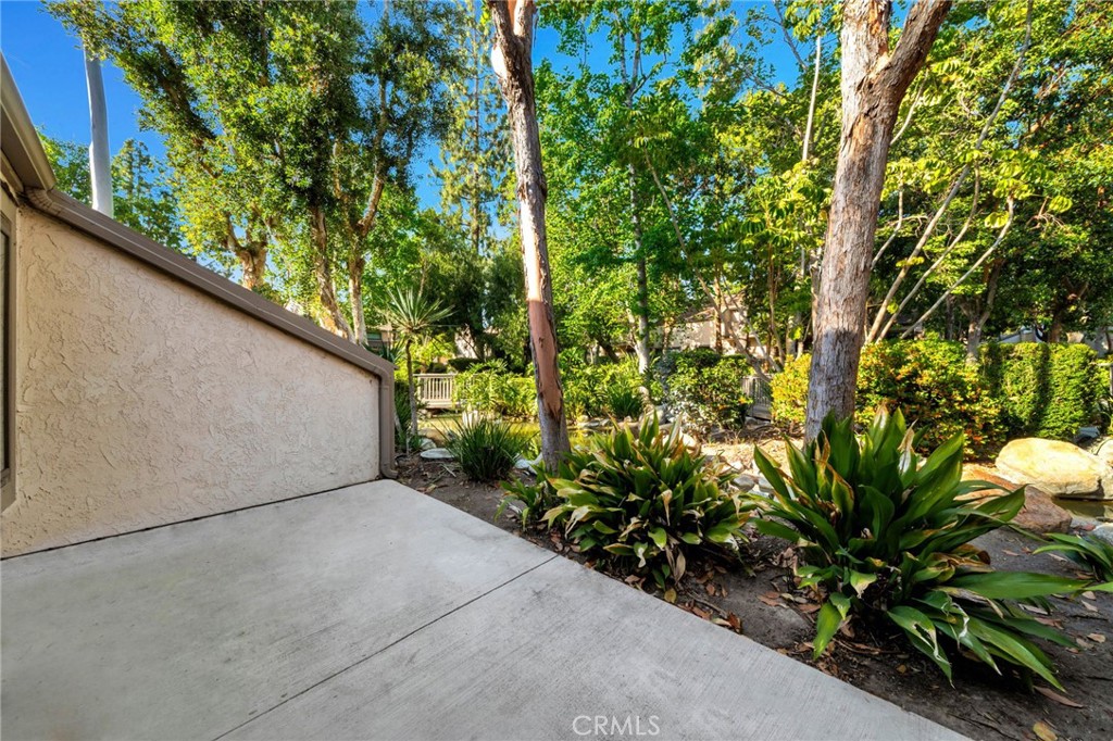 1602 Clear Springs Drive 174