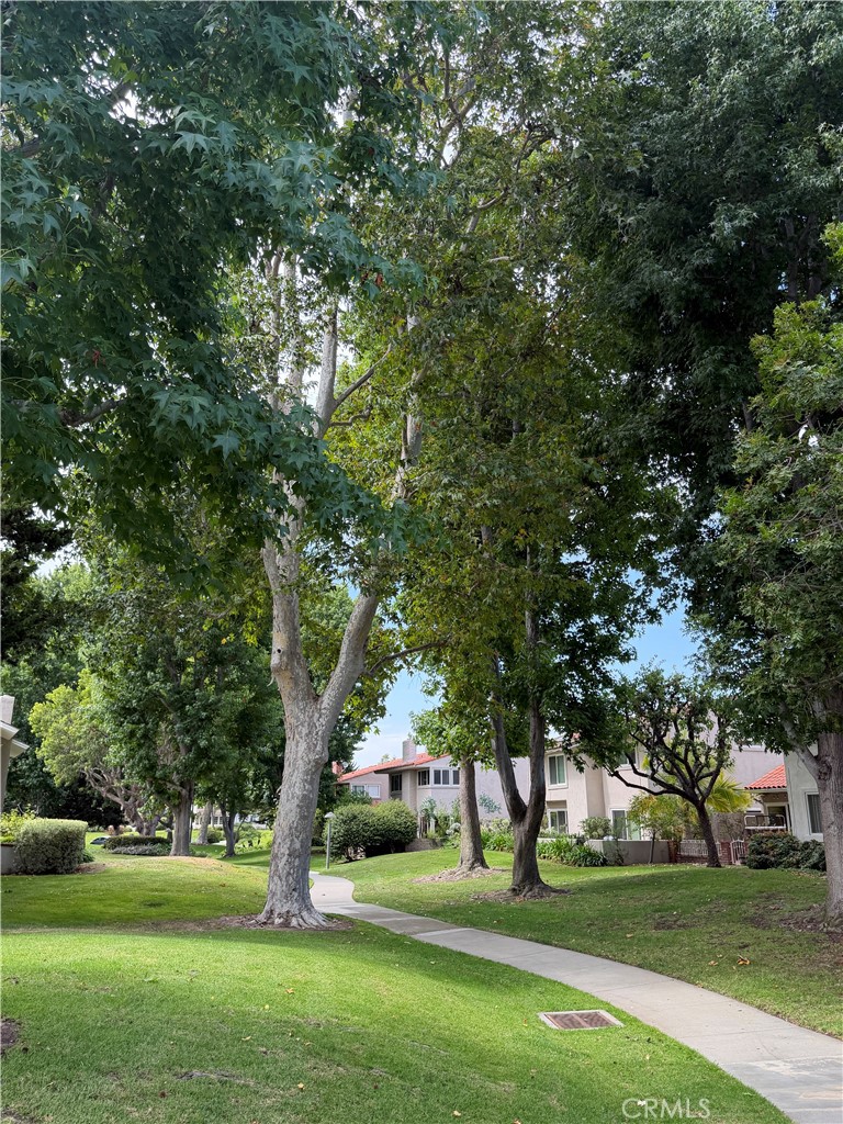 446 Vista Roma
