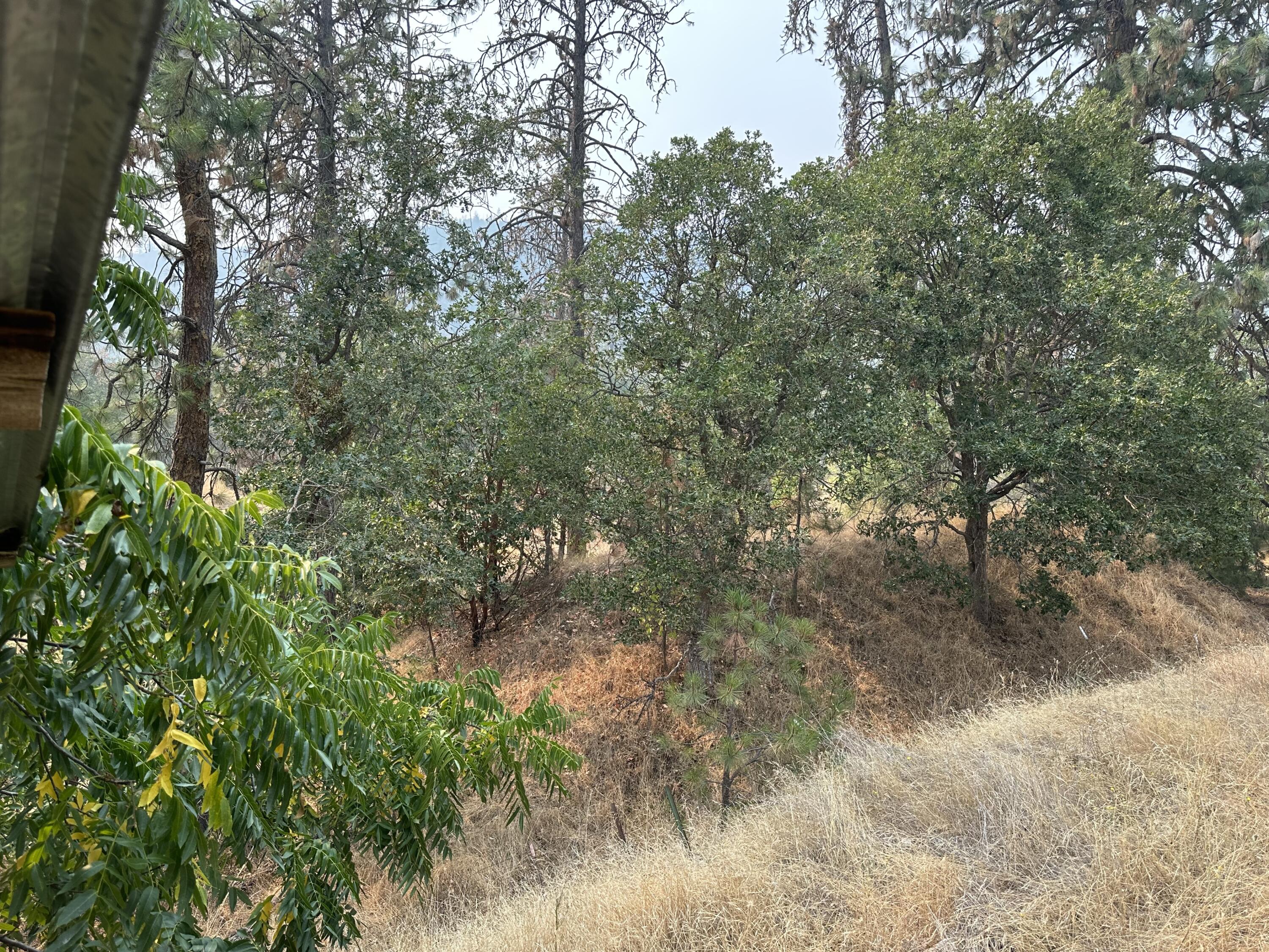4716 Highway 238