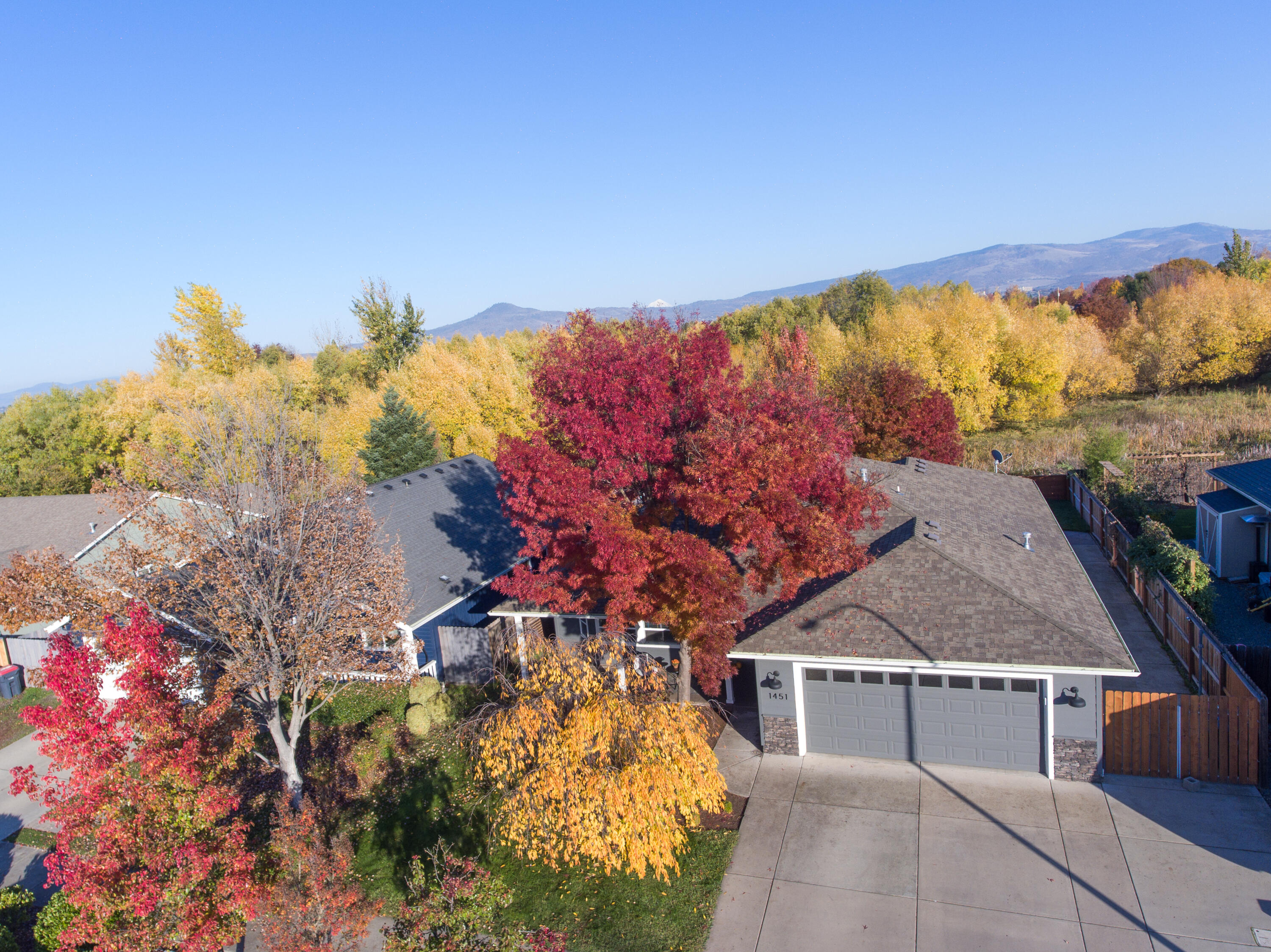 1451 Elaine Way