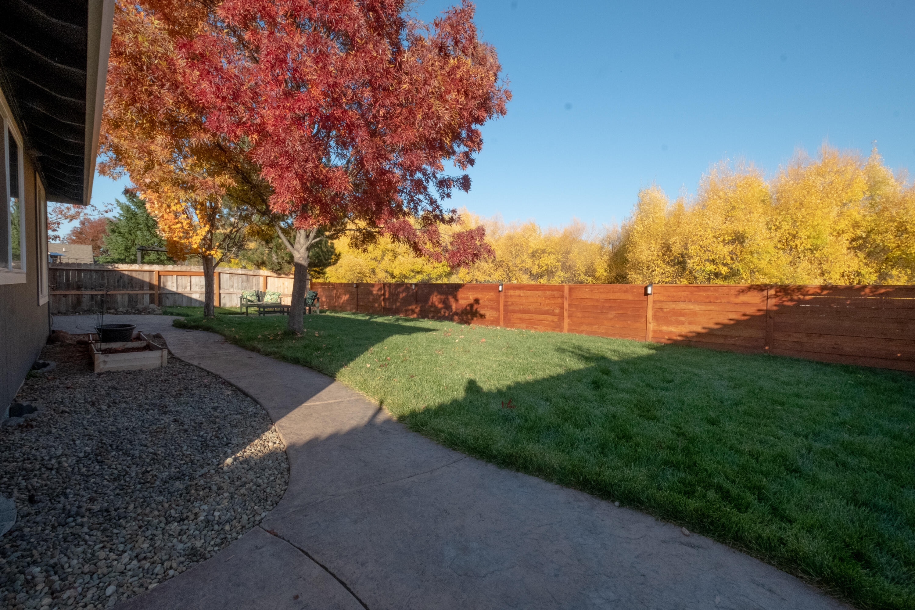 1451 Elaine Way
