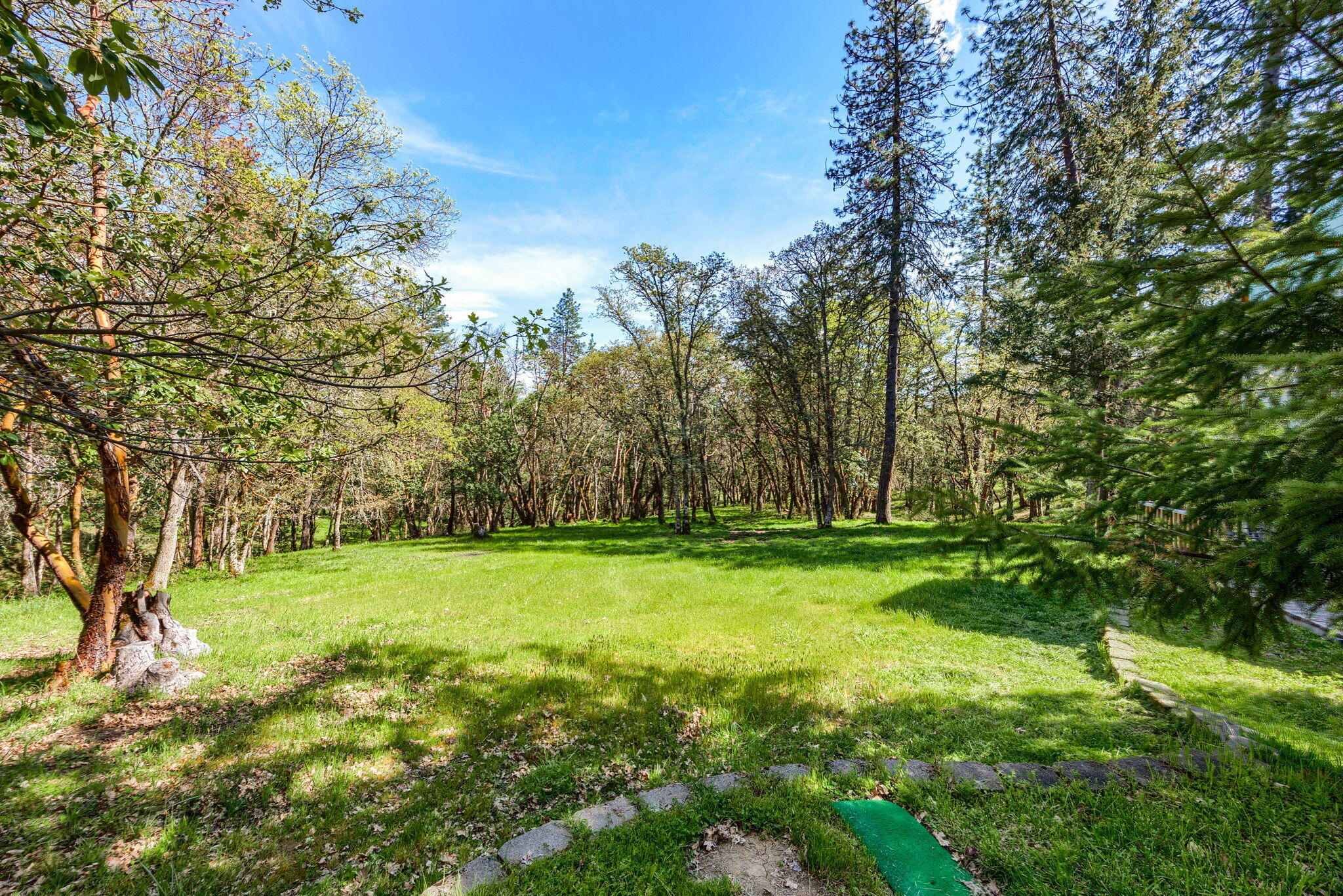 310 Richard Way