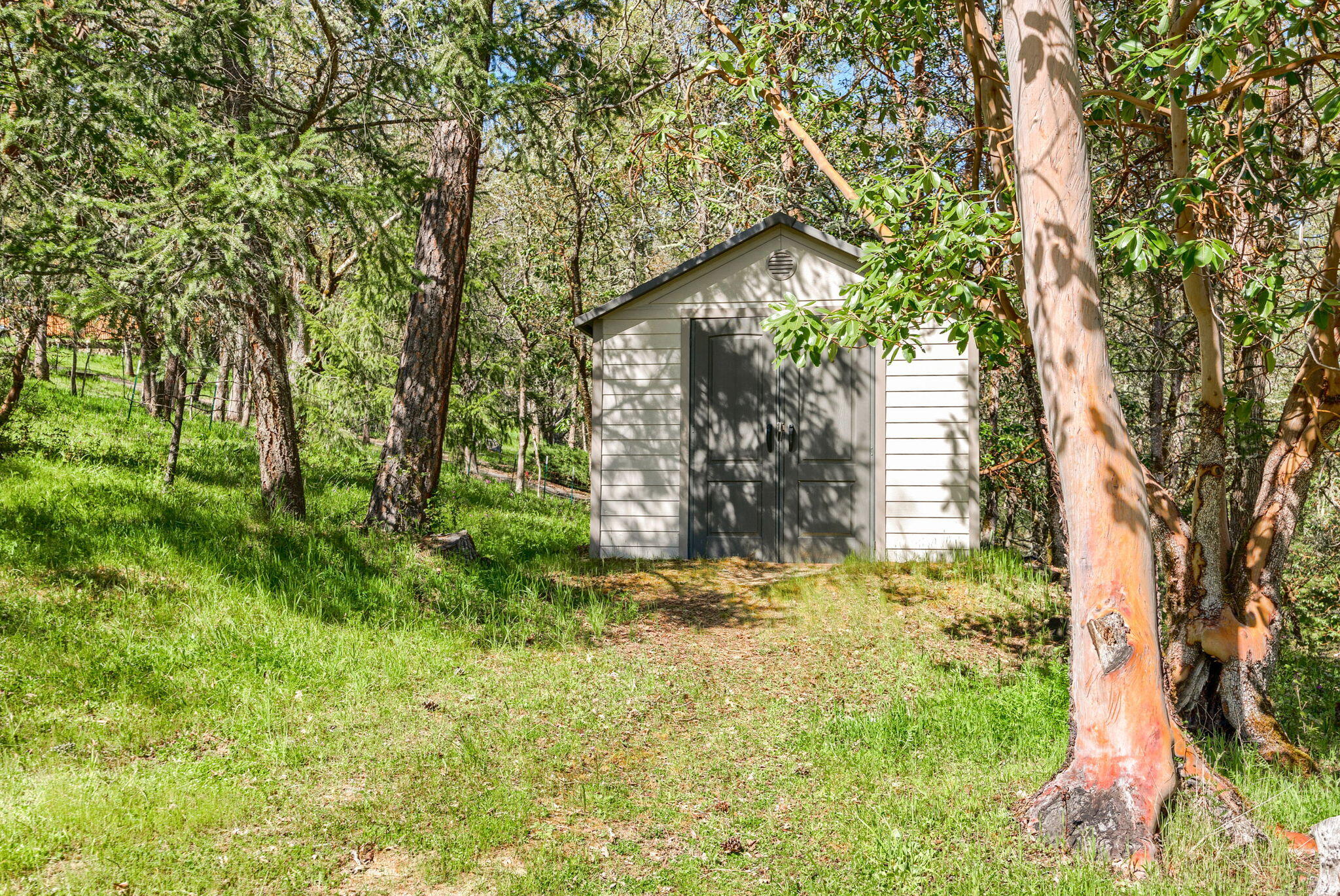 310 Richard Way