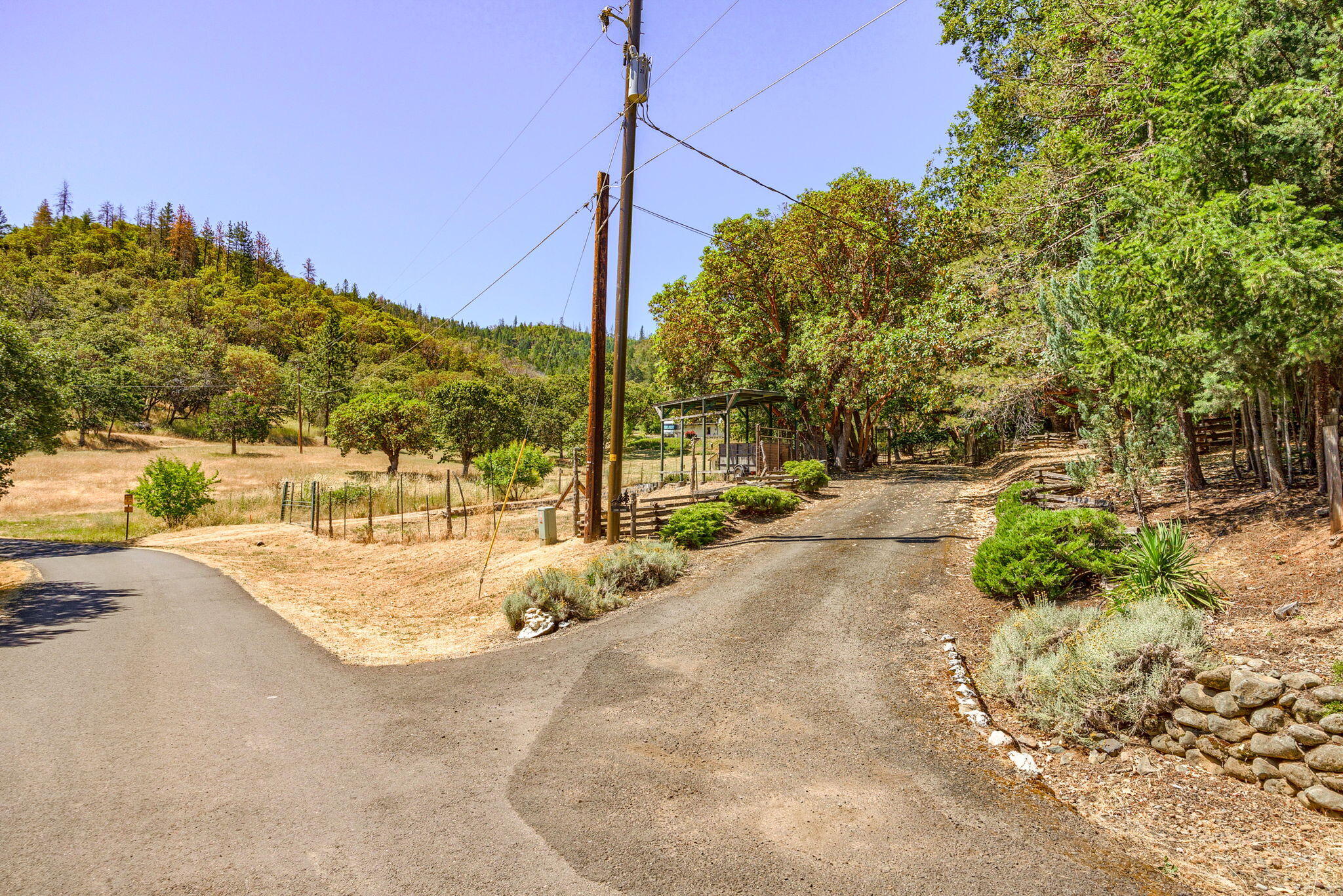 2260 Jasmine Avenue