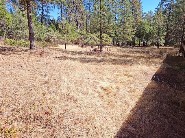 6385 W Evans Creek Road