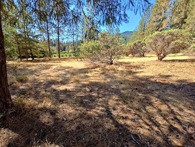 6385 W Evans Creek Road