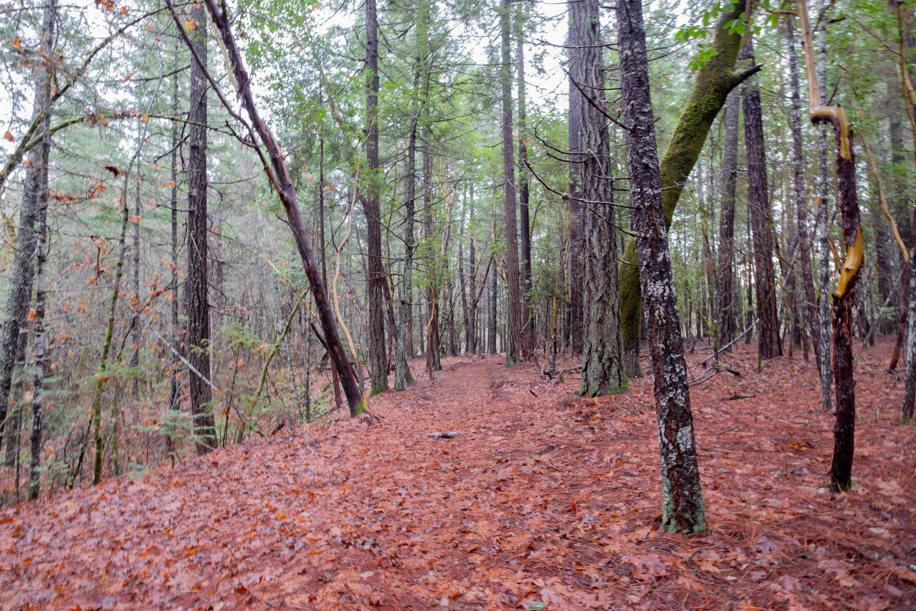 Pleasant Creek Road, 122