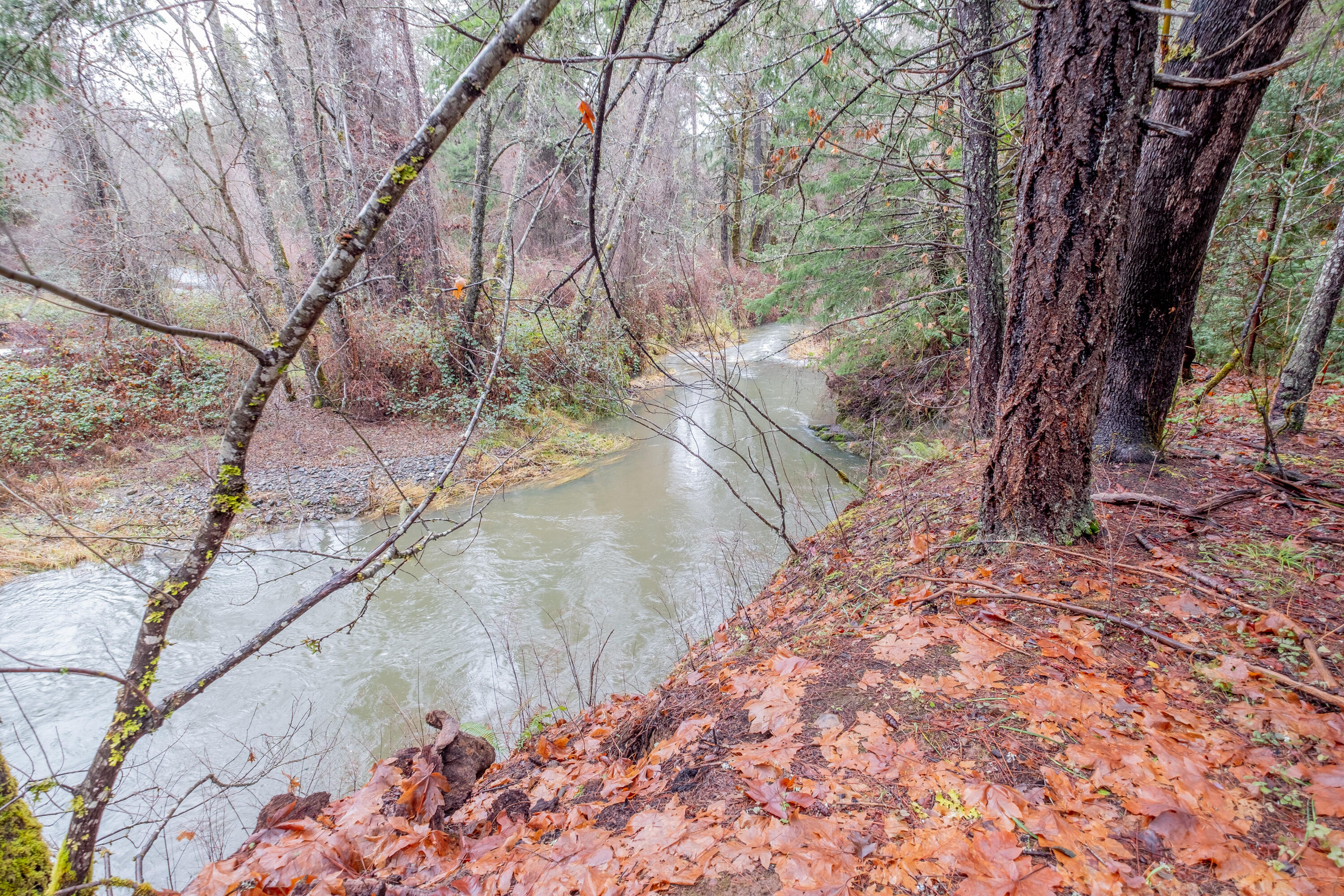 Pleasant Creek Road, 122