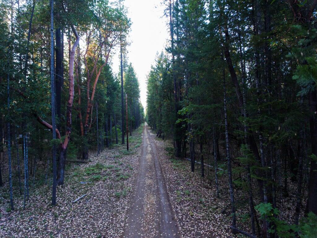 Pleasant Creek Road, 122