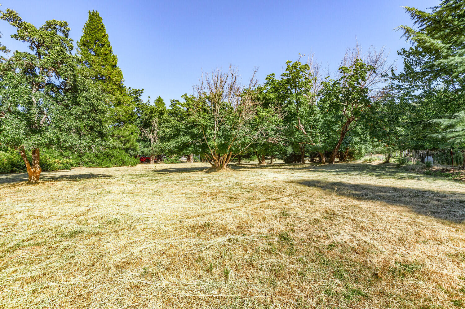 385 S Oregon Street, TL 502/503