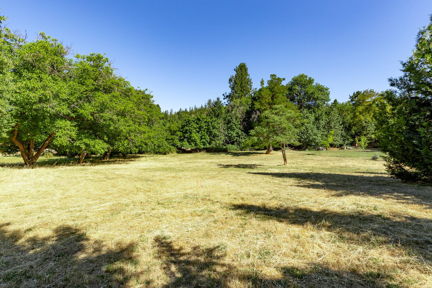 385 S Oregon Street, TL 502/503