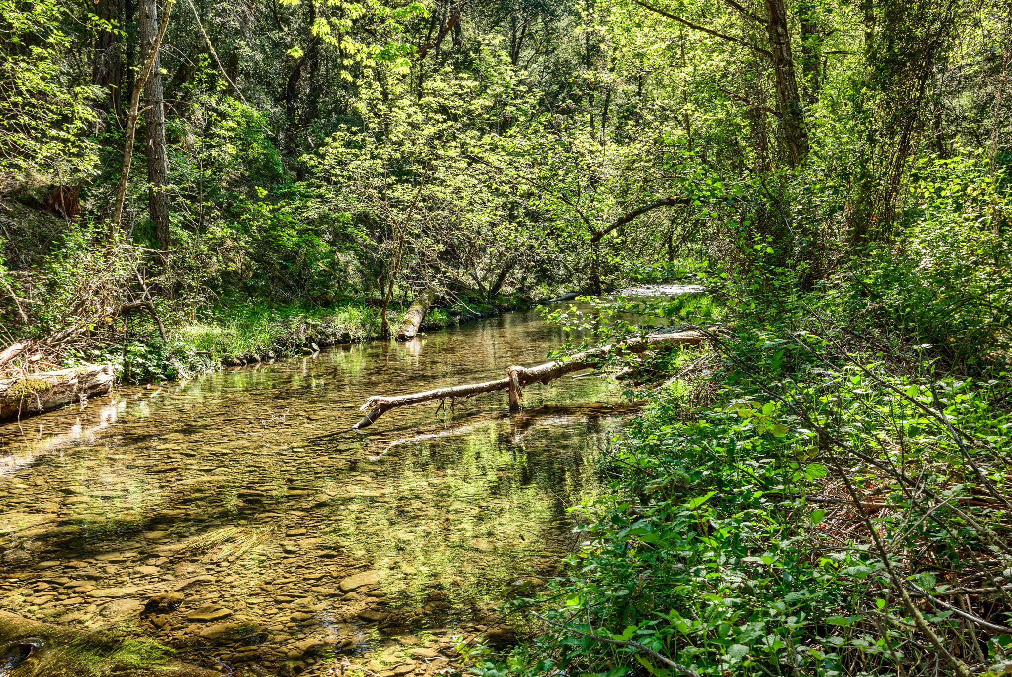 3519 Thompson Creek Road