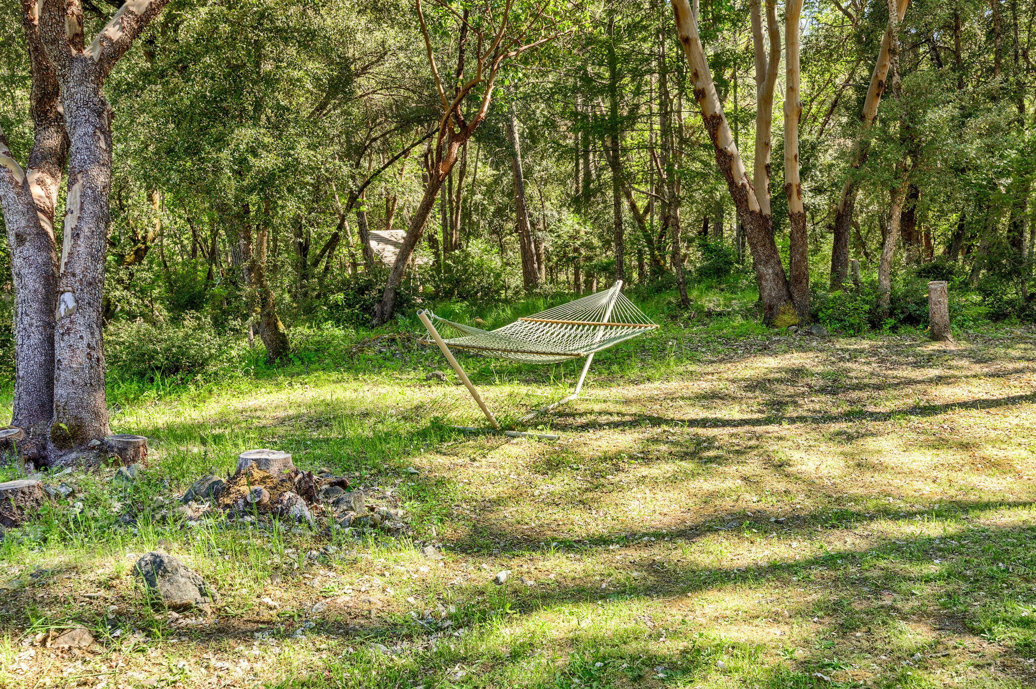 3519 Thompson Creek Road