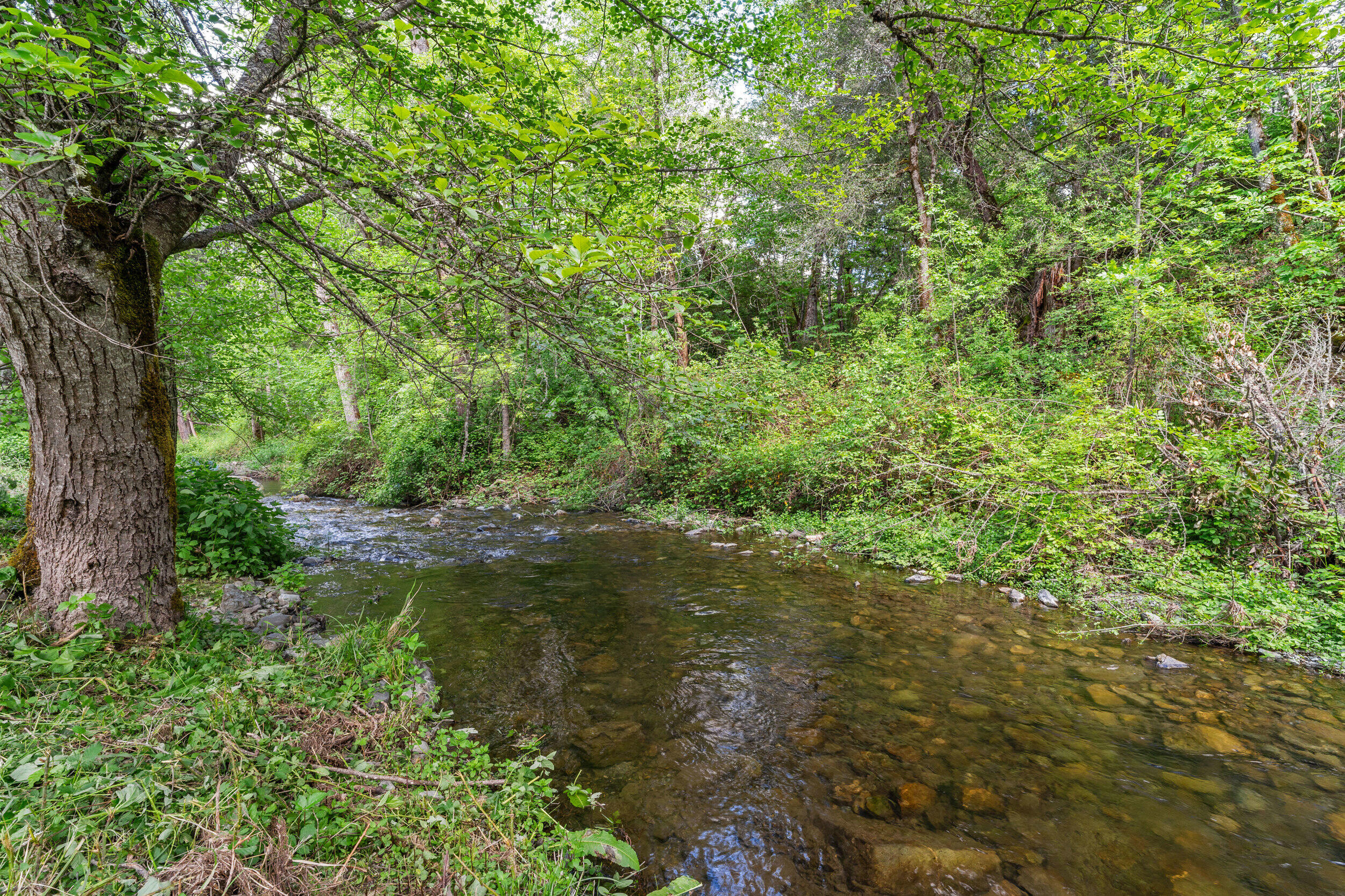 3479 Thompson Creek Road