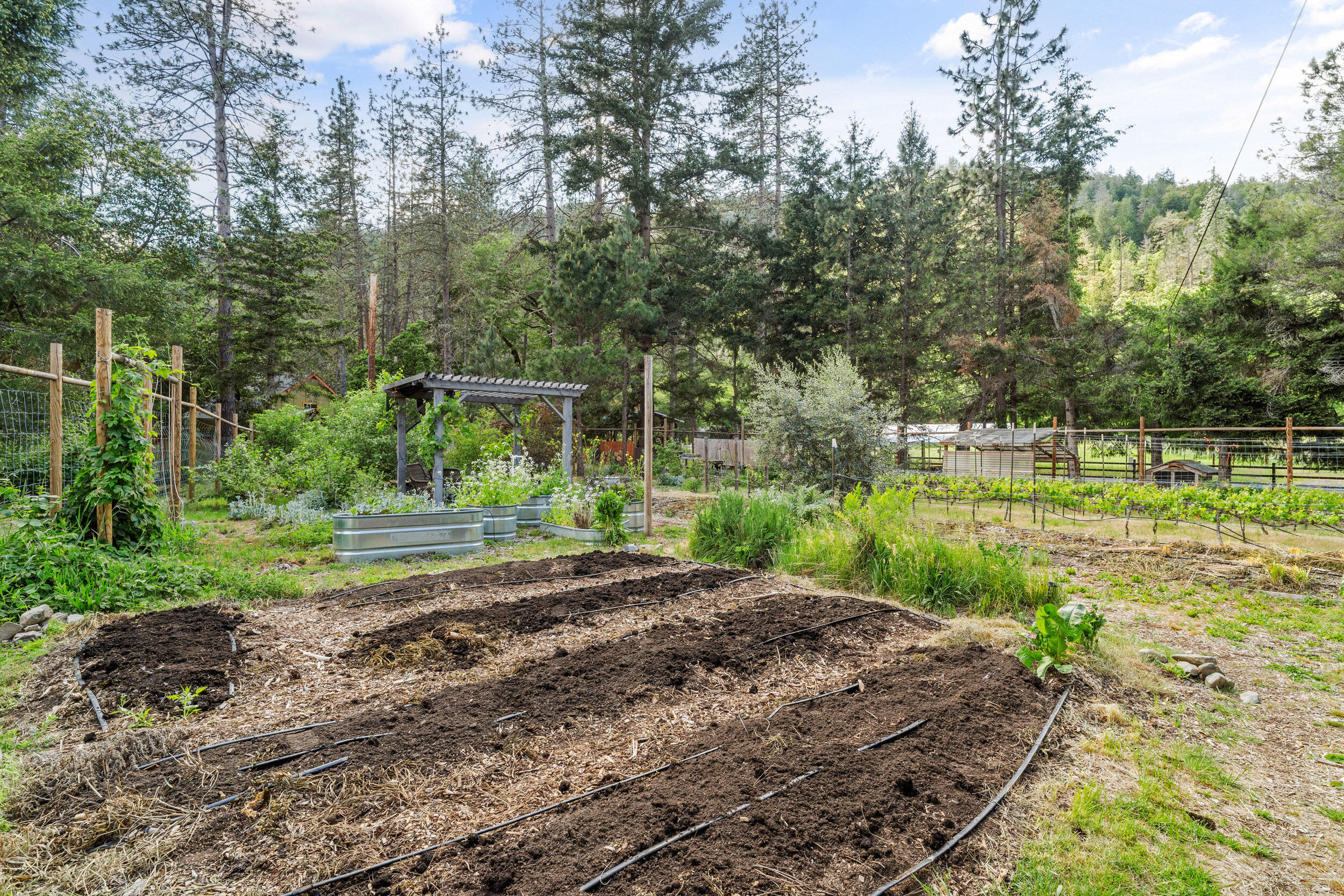 3479 Thompson Creek Road